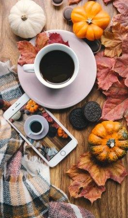 fall into good habits and stay organized