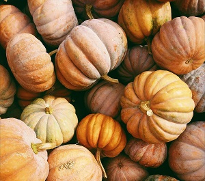 PUMPKINS