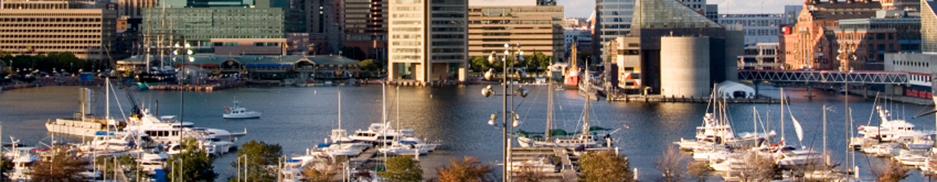 Baltimore Header